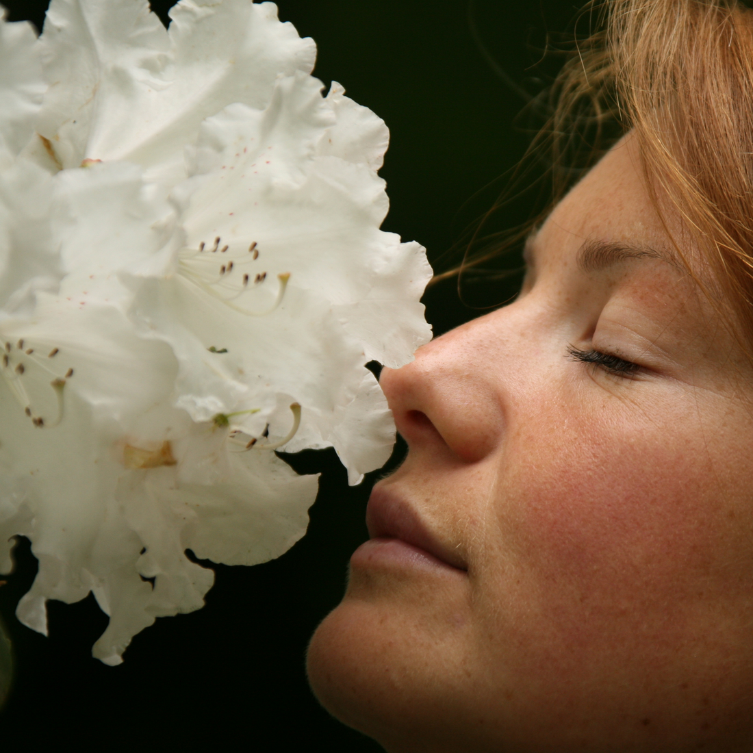Research Notes: Why Smell Moves Faster Than Every Other Sense*